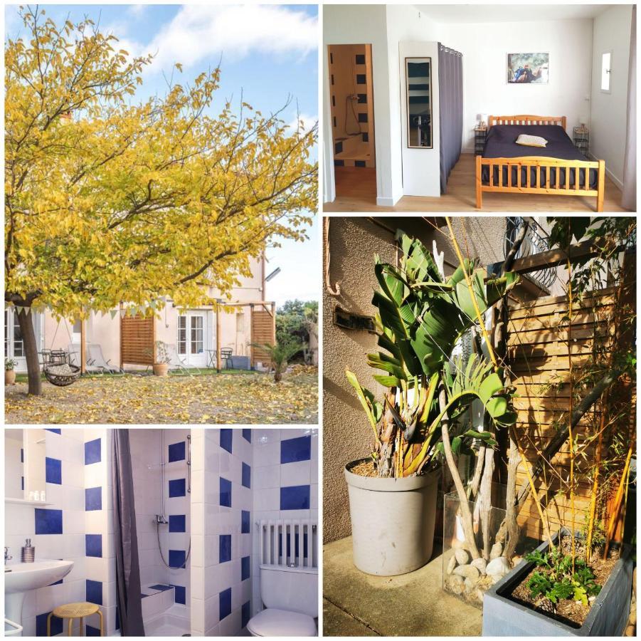 Mas Paret Studio Plein Sud - Parc 1 Ha Au Calme 아르젤레쉬르메르 외부 사진